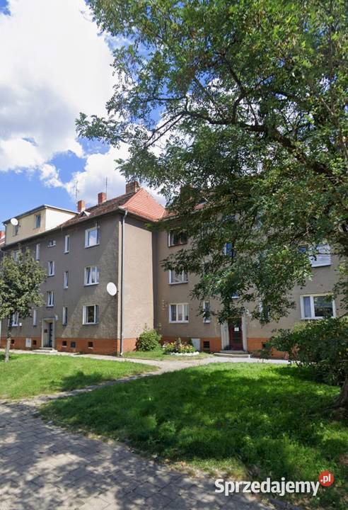 5pok 103met Kromera ROZKŁADPIWNICAOGRÓD Wrocław 3 piętra i więcej