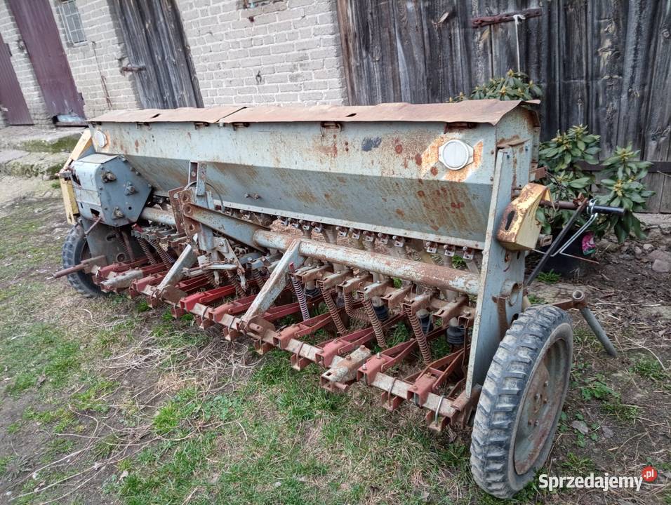 Siewnik poznaniak Godlewo