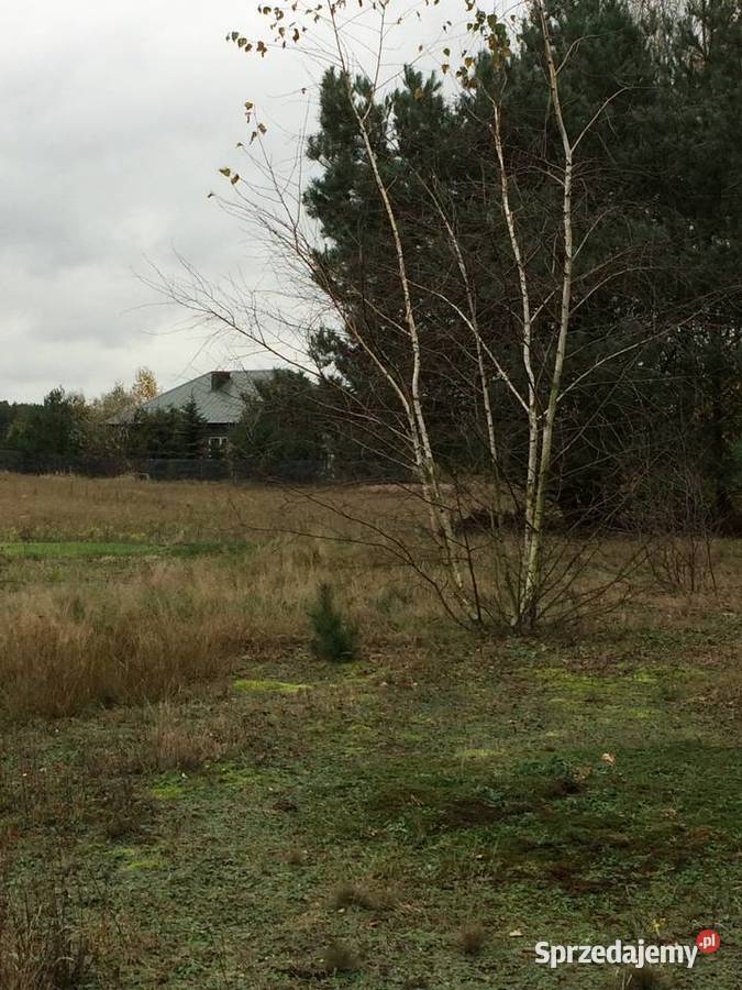 Działki budowlane Jezioro Zdworskie Matyldów sprzedam