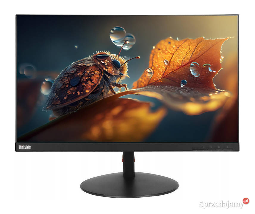 Monitor Lenovo Thinkvision T24D10 24 Ips Wuxga Monitory i projektory śląskie Pyskowice