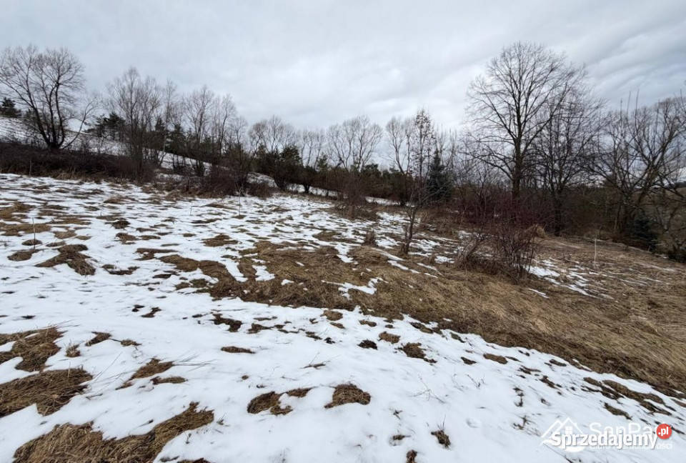 Grunt Turzańsk 2404m2 podkarpackie