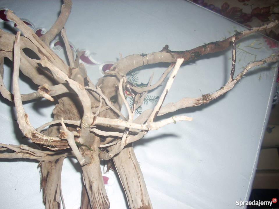 Duży korzeń do akwariumterrarium Pozostałe małopolskie Kraków