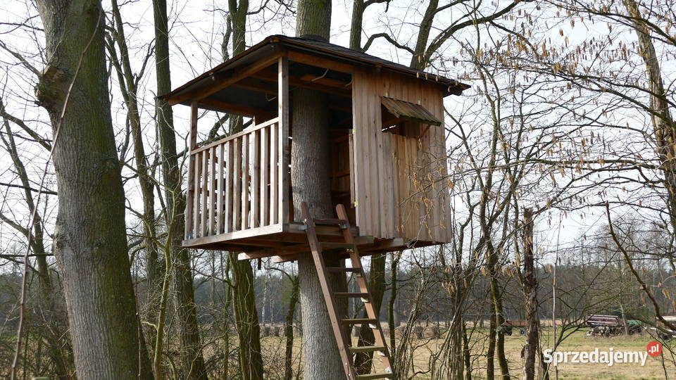 domek na drzewie Ługi