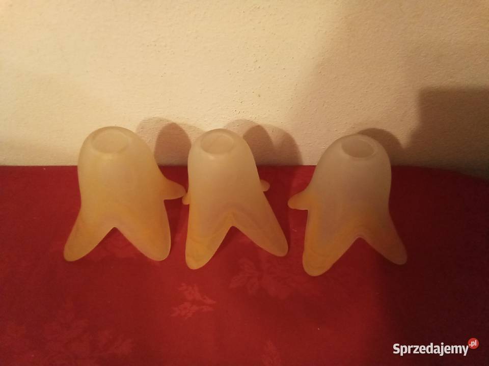 Klosze kwiatowe komplet Warszawa