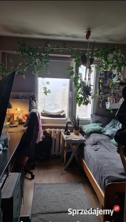 Sprzedam mieszkanie podolszyce Sprzedaż Płock