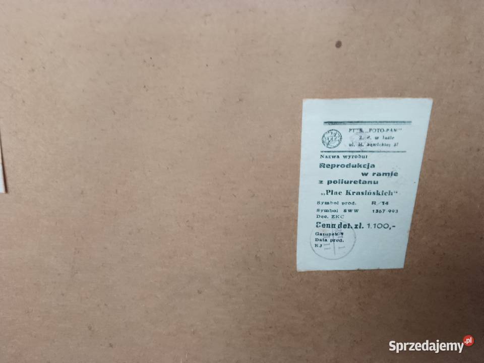 Obraz w GRUBEJ ramie PLAC KRASIŃSKICH łódzkie Bełchatów