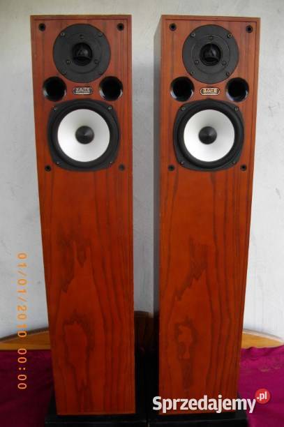 Acoustic Energy AE 105 kol podlogowe wielkopolskie sprzedam