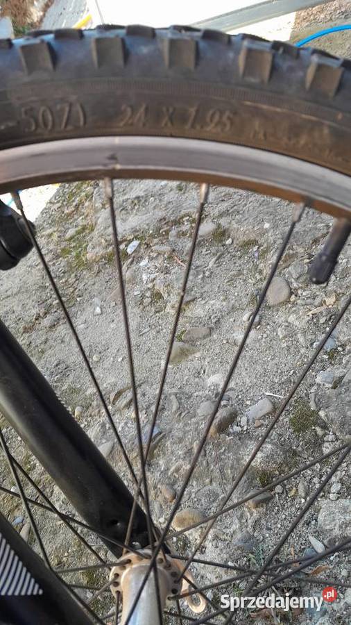 Rower Dębowiec