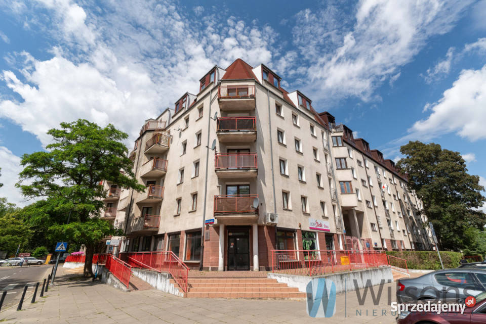 wynajmu lokalu 7755m2 Warszawa