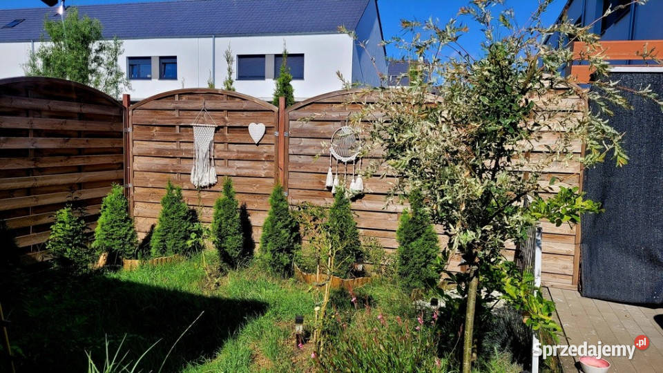 Zalasewo pokój w szeregowcu wynajem sprzedam