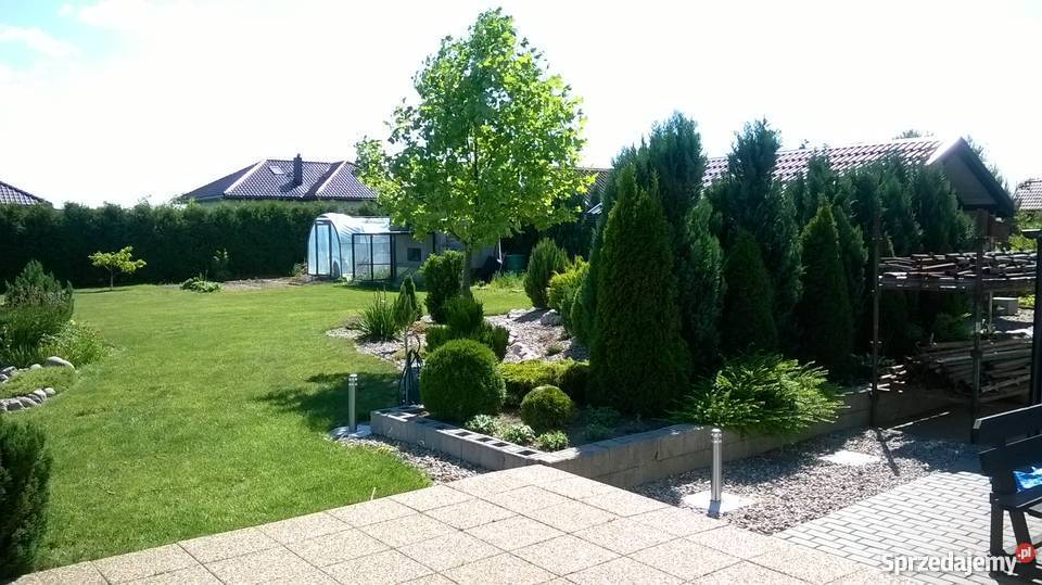 Sprzedam dom Łosino sprzedam