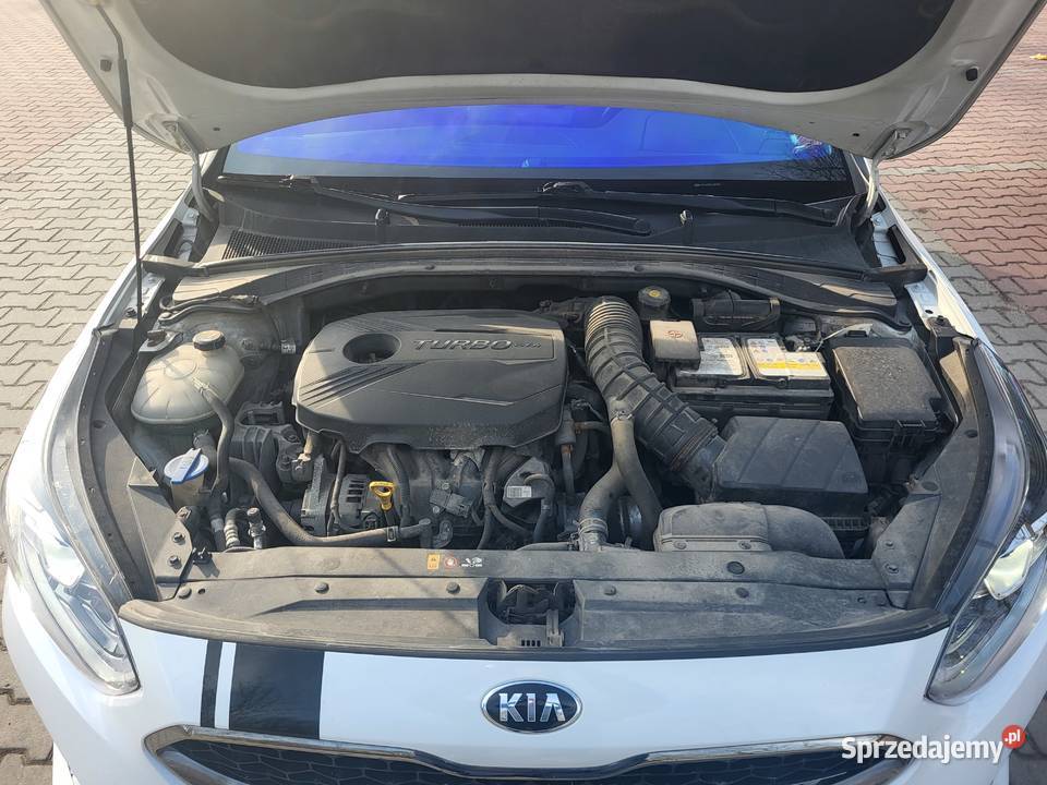 Kia proceed 16 gt 204 prywatne hak faktura salon Kraków