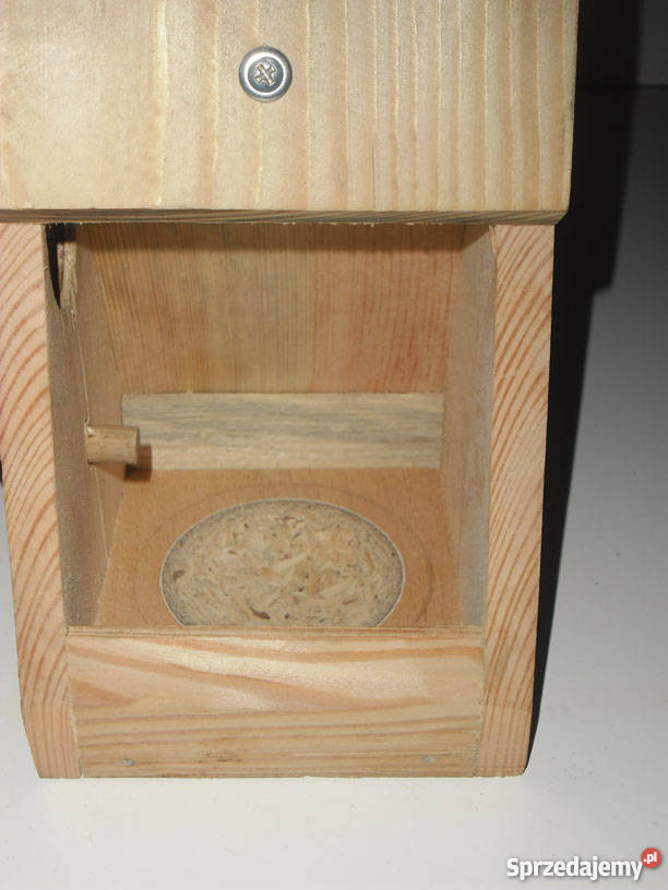 budka lęgowa śląskie Rybnik