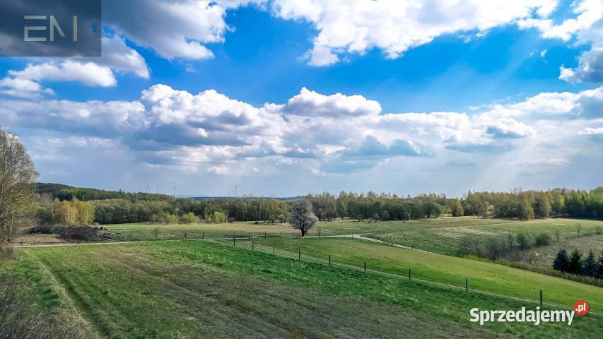 Grunt 4700m2 Gwoźnica Górna 4700m2 Sprzedaż
