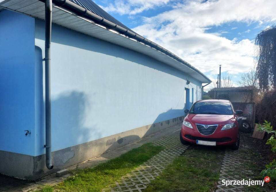 PRZESTRONNY LOKAL W OTULINIE PARKU KAMPINOSKIEGO Czeczotki