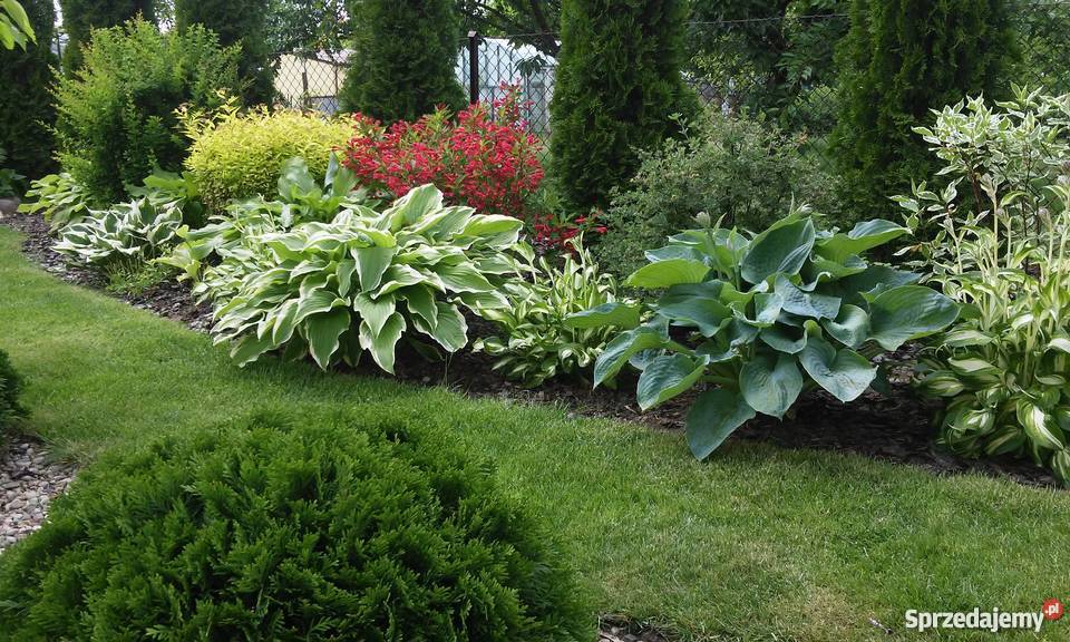 Działka na ROD 400m2 Człuchów