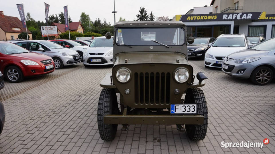 Jeep Willys zarejestrowany w Polsce Zielona Góra