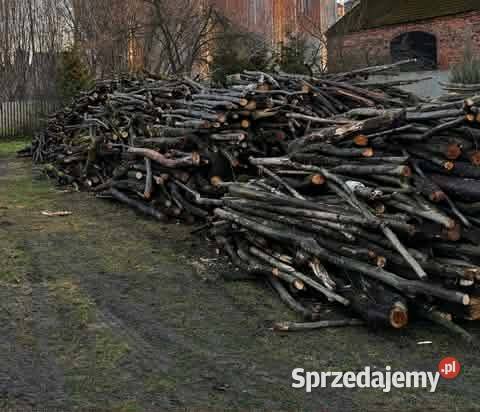 Drewno opałowe Chotków