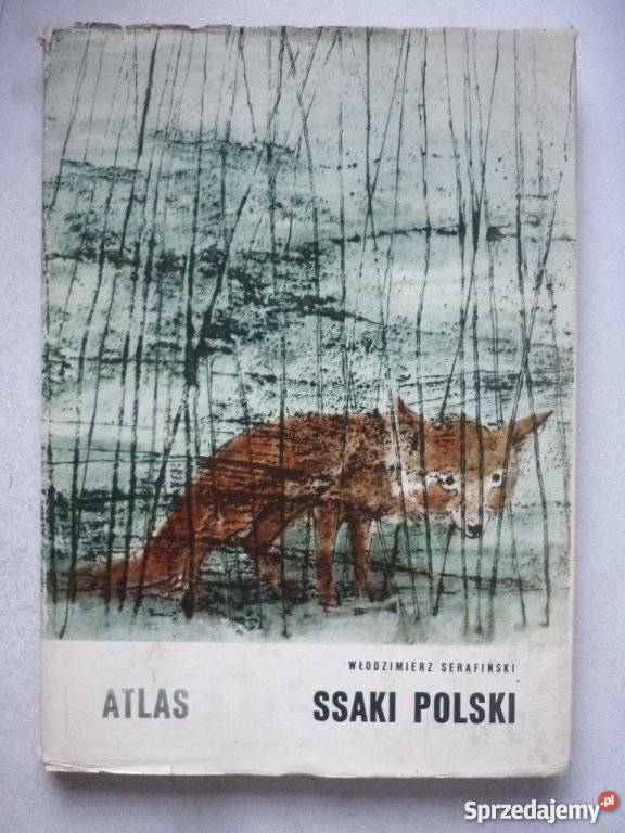 SSAKI POLSKI WŁODZIMIERZ SERAFIŃSKI Ustka