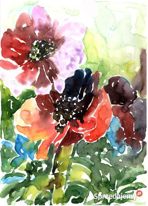 OBRAZ akwarela KWIATY dolnośląskie Gryfów Śląski