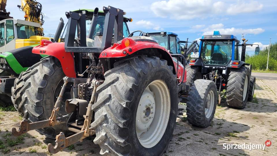 Massey Ferguson 5460 115 tunelowy sadownik Ciągniki Zaklików