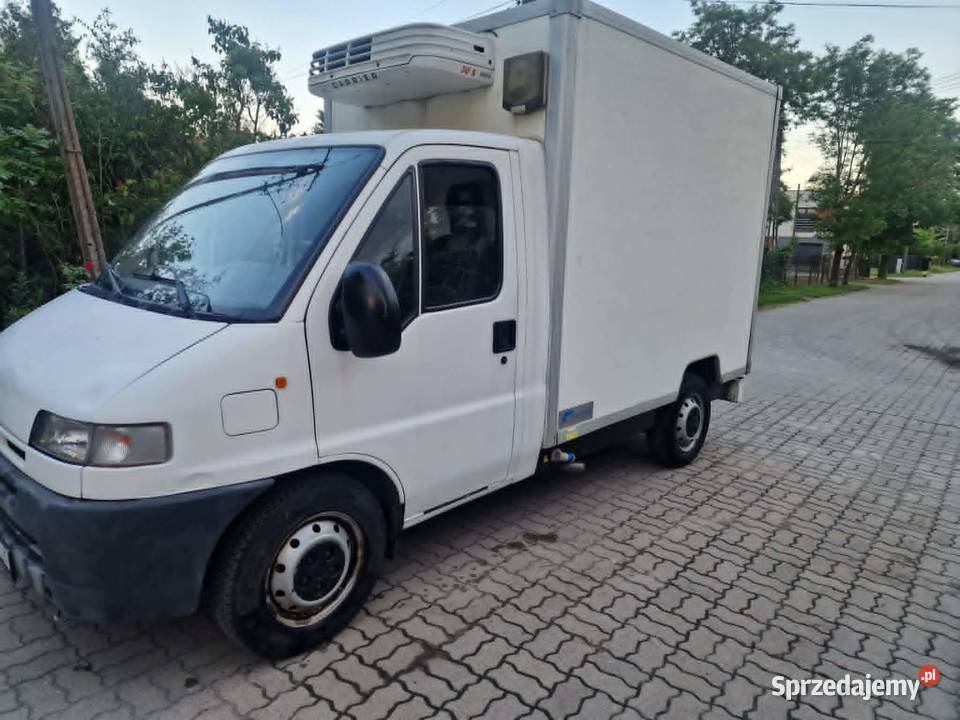 Citron jumper 25d chłodnia izoterma kontener nieuszkodzony Warszawa