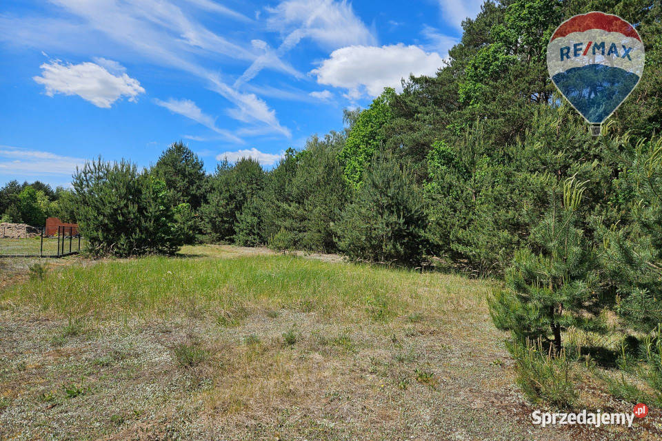 Działka budowlana 2630m2 z lasem 2630m2 Sprzedaż Skierniewice