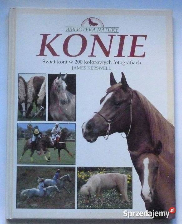 KONIE JAMES KERSWELL Zielątkowo