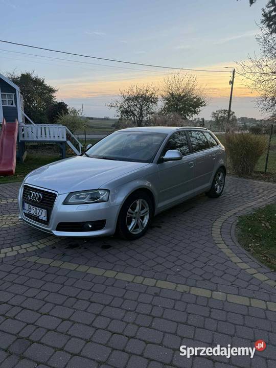 Audi a3 8p 20tdi 170