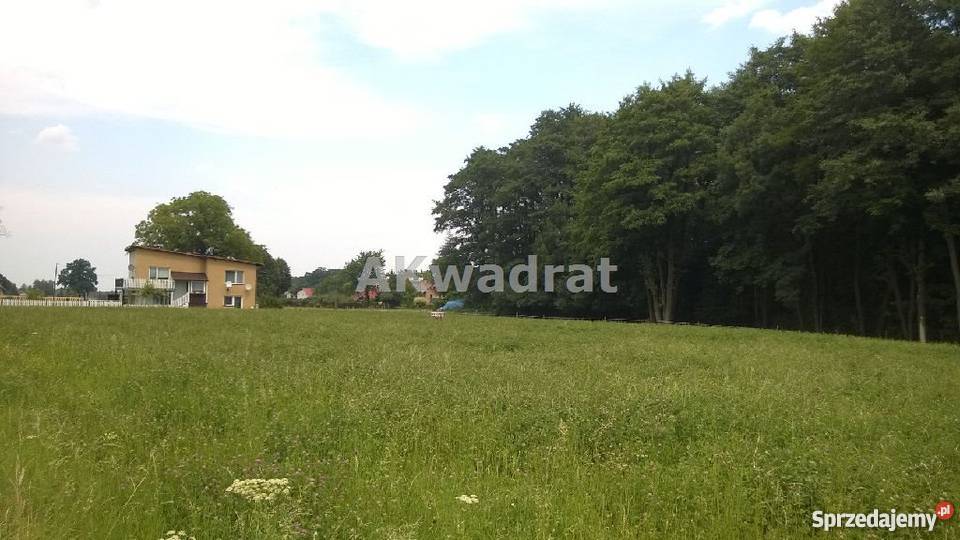 grunt 1004m2 Bładnice Górne budowlana Grunty i działki