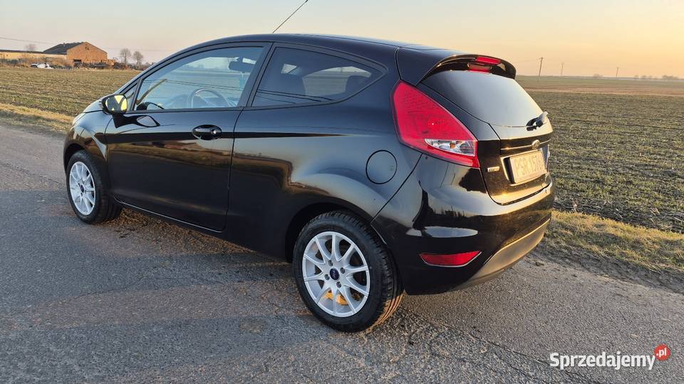 Ford Fiesta 2010 14 tdci Środa Wielkopolska