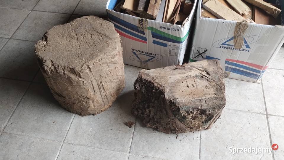 drewno opałowe kominkowe drzewo pienki Poznań