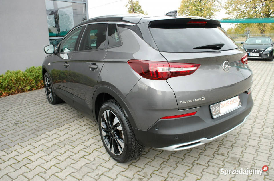 Opel Grandland X AutomatKameraNavi 139661km podkarpackie Dębica
