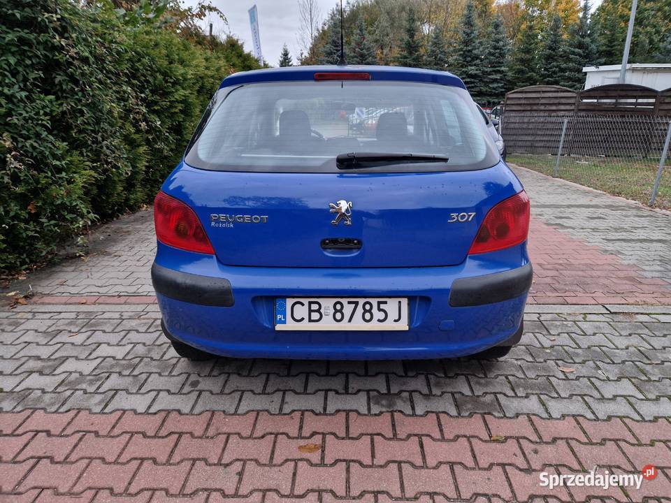 Peugeot 307 stan techniczny Sprawna klimatyzacja Bydgoszcz sprzedam