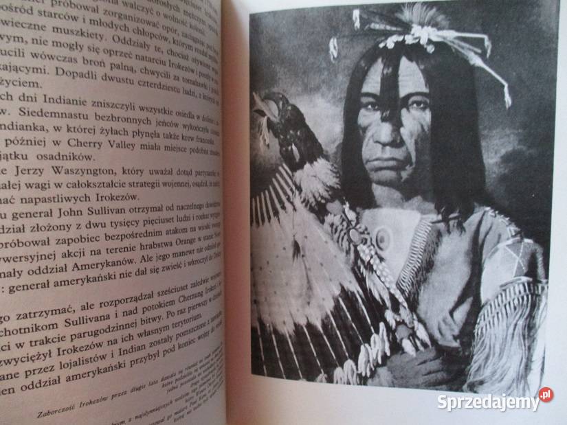 Ognie na kurhanach WJan powieść historia 1962 łódzkie