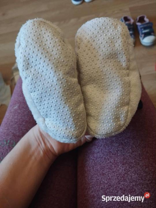 Niechodki pieski Gorzów Wielkopolski