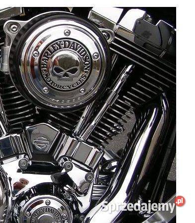 Harley filtr powietrza skull Filtry powietrza Trzciana