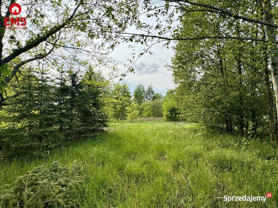 Grunt 2900m2 Kosmaty Borek podlaskie sprzedam