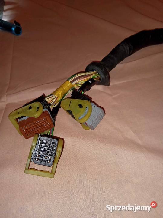 Wiazka instalacji elektrycznej silnika manualna