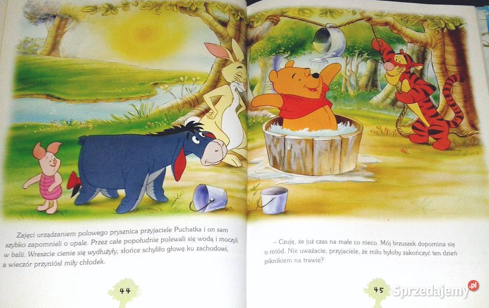 Cztery pory roku z Kubusiem Puchatkiem Marek Chełm
