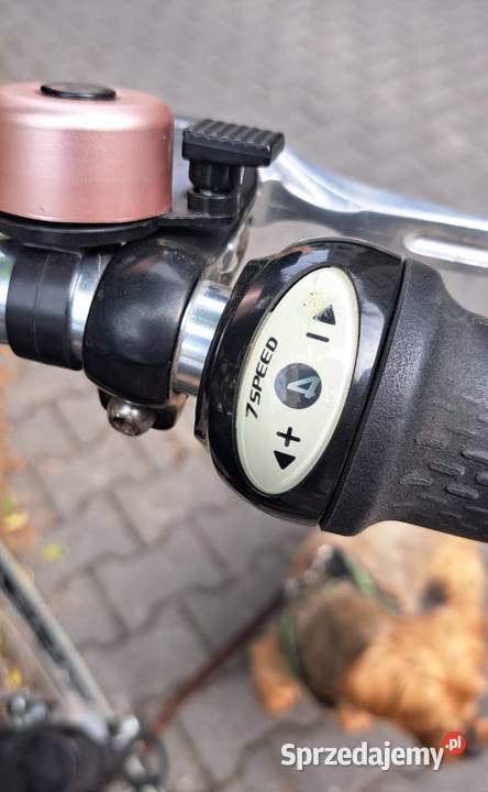 Rower elektryczny sprzedam