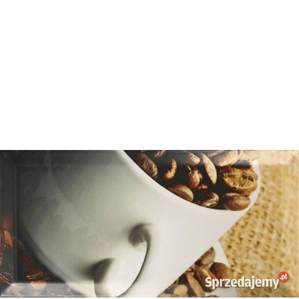 Dekor Tamoe Inserto D 98 x 198 Paradyż aktualne Białogard