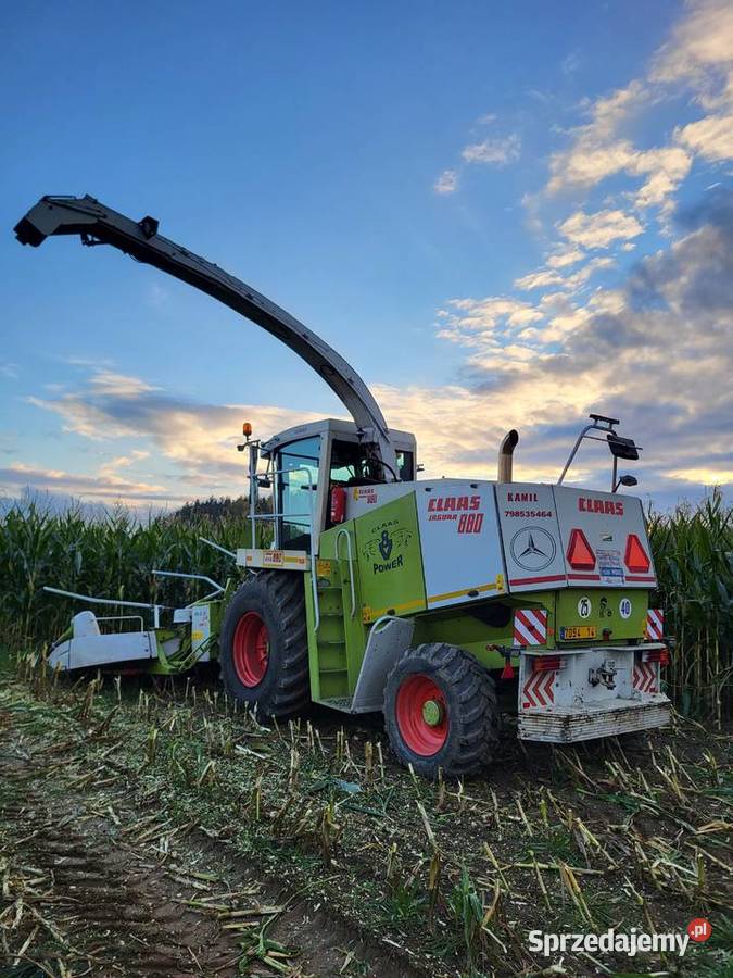Sieczkarnia Claas Jaguar 880 Claas Samojezdne Bobrówka
