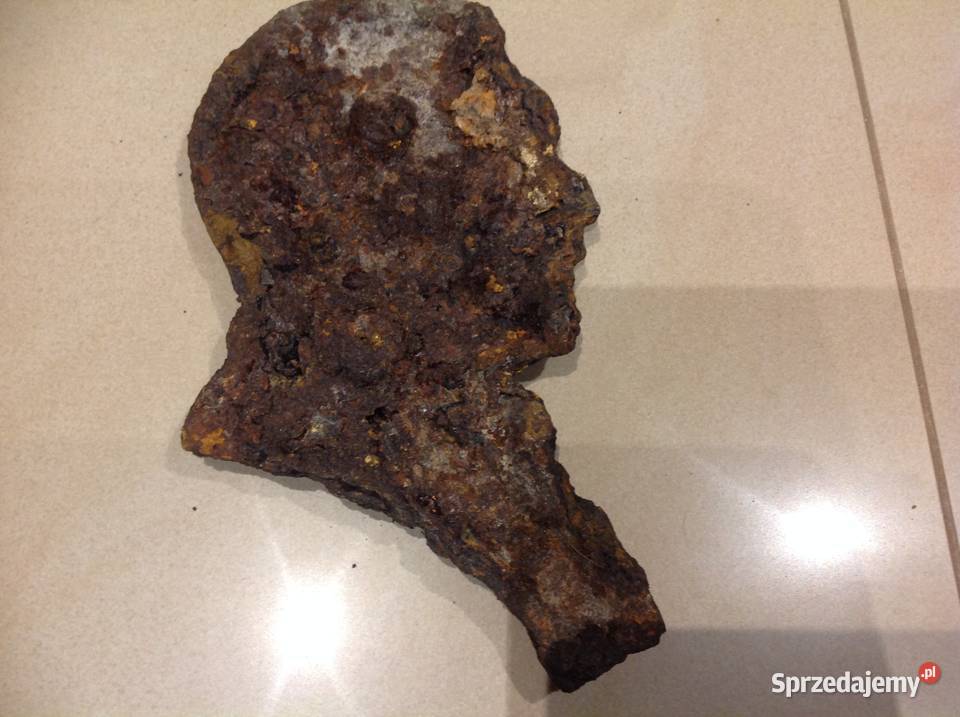 Popiersie Żeliwne Stare lubuskie Nowa Sól