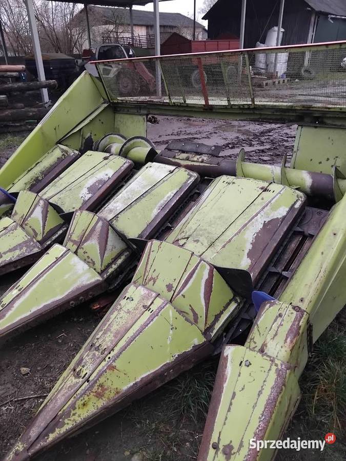 Stół do kukurydzy Class 4rzędowy Borzechów