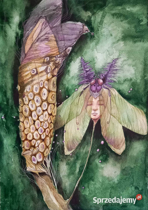 Dżungla akwarela artystki Adriany Laube