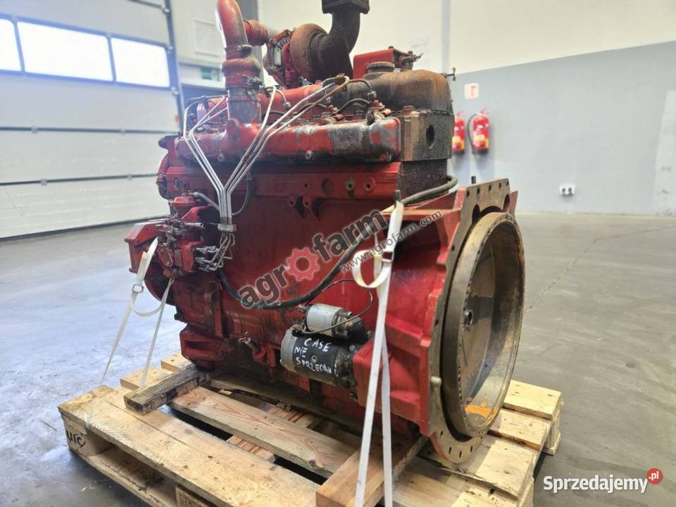 Silnik Case Internacional 1255XL DT358 Byków