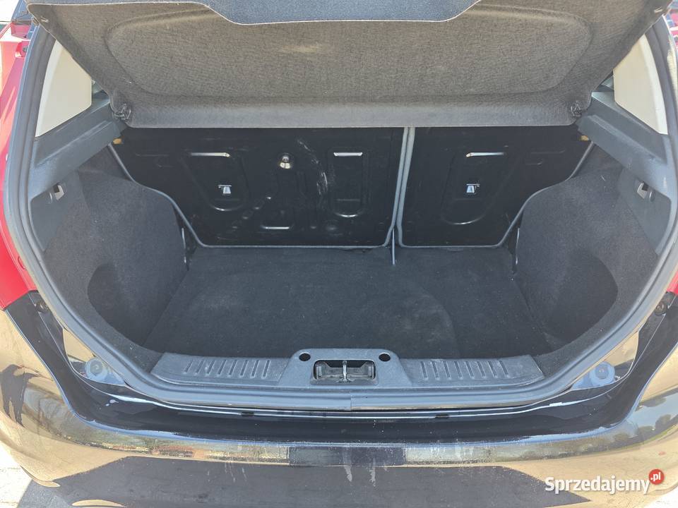 Ford Fiesta 2009 125 82 82KM Trzebnica