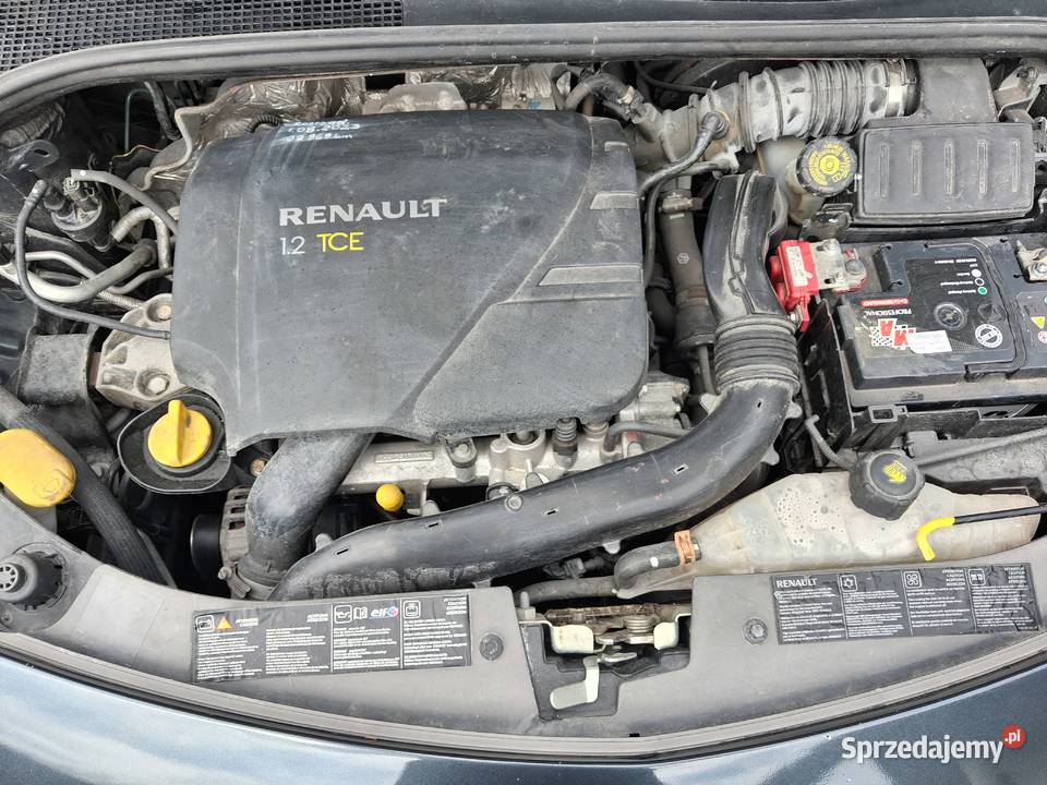 Renault clio 3benzyna 1015drzwiowy