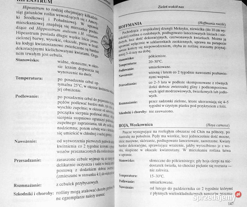 Mała encyklopedia doniczkowych roślin ozdobnych Kultura i Rozrywka Chełm sprzedam